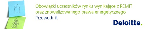 baner deloitte 032016